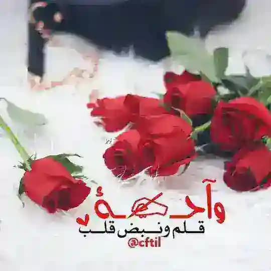 ❀ ⇣ْ⇣ْ قلـــ✍ــبي•وقـــلمي ْ⇣ْ⇣ْ❀❤️