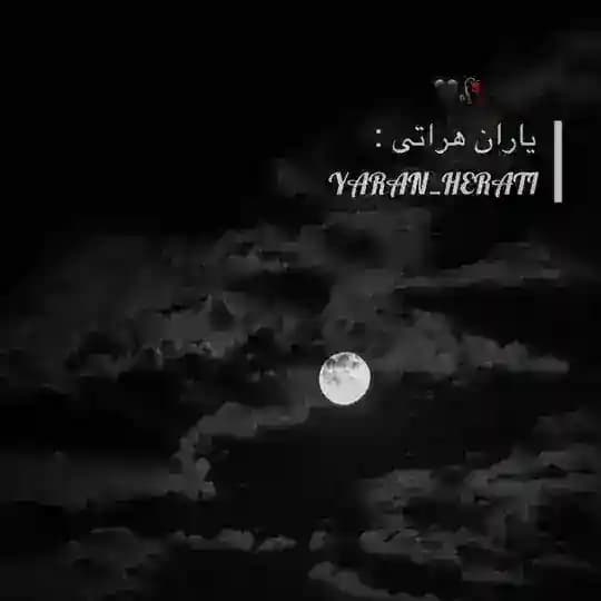 - یاران هراتی -🤍