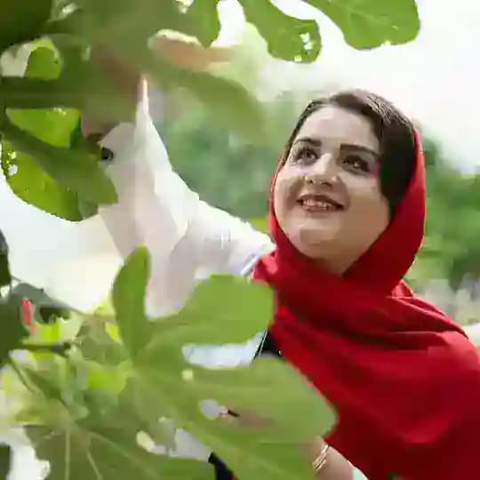 چاکرادرمانی🧘‍♀️فیروزه مالایی