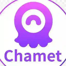 Chamet diamond Profile