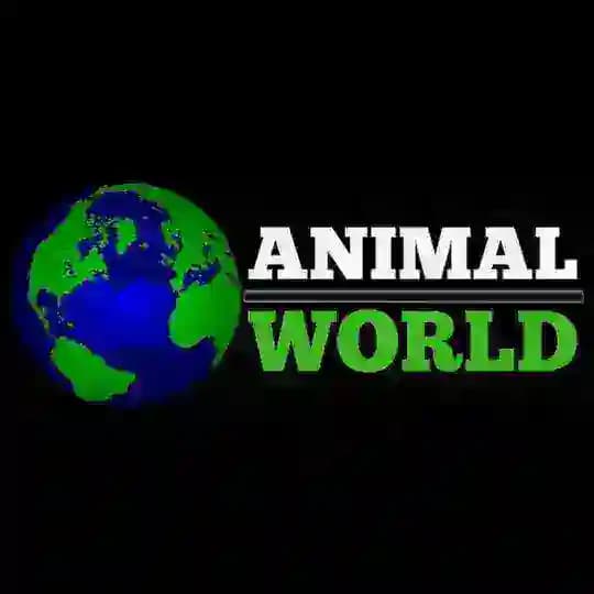Chanel Animal World🦁