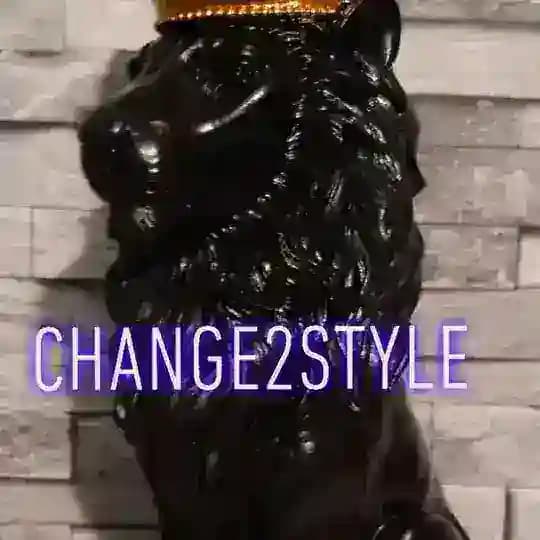 Change2style Profile