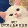 长电史