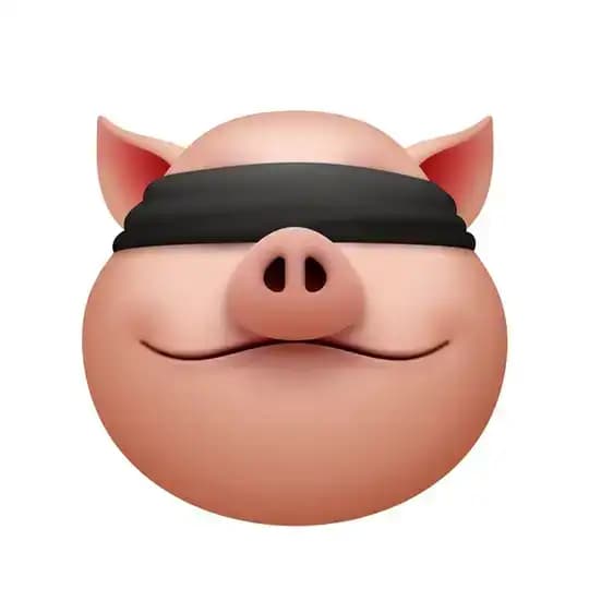 Cheap 🐷 Court