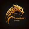Cheetah server