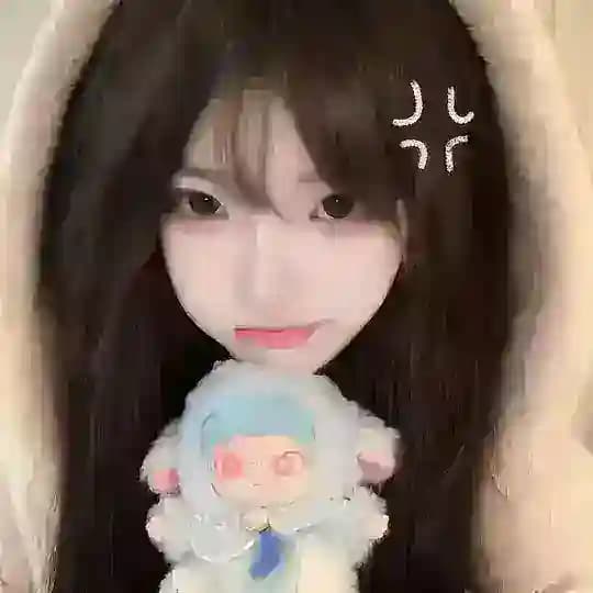 尘埃安装包