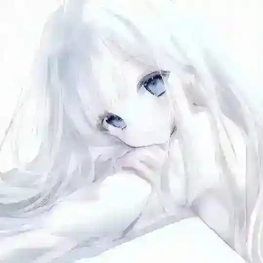 恒月商会信誉频道
