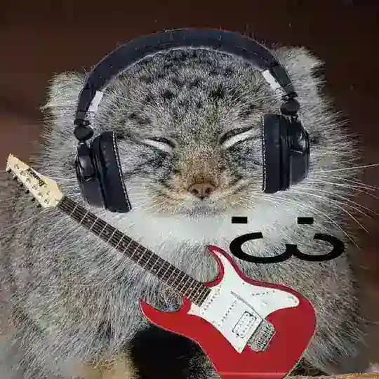! Wassala!