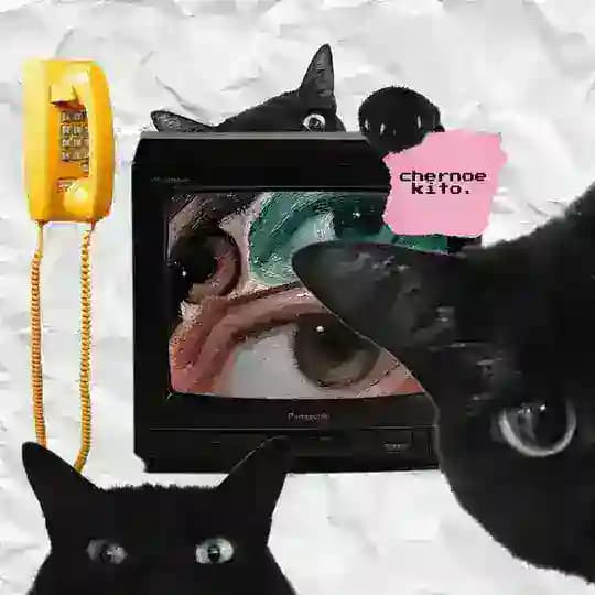 черное кито. 🐈⬛📺