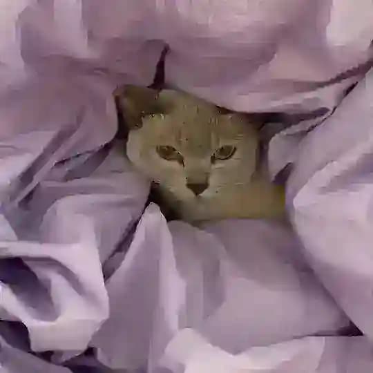 доступное вишенкам