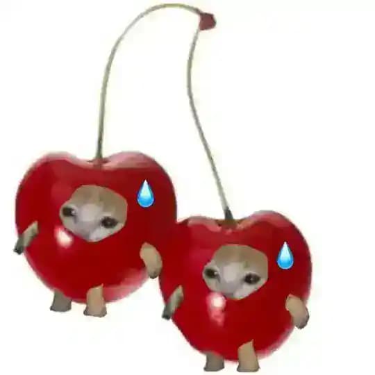 💧Drip Cutests🍒🫦