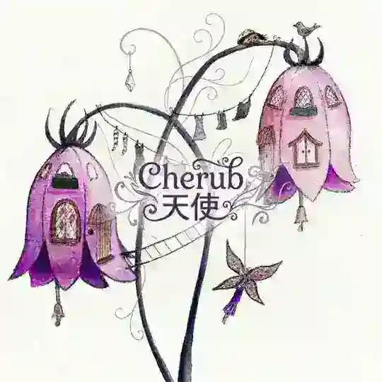Cherub 天使 ໒꒱