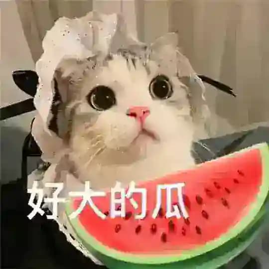 每日吃瓜🍉搞笑|猎奇|头条|爆料💥