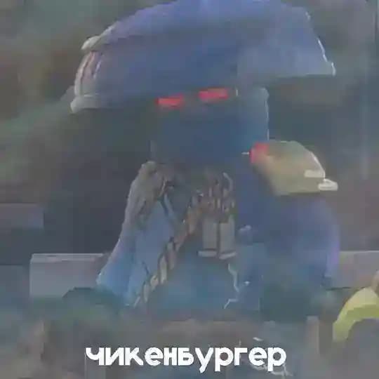 вам с собой? [чикенбургер]