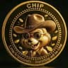 CHIP