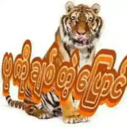 ပုကိုချစ်တဲ့ပြောင် Profile