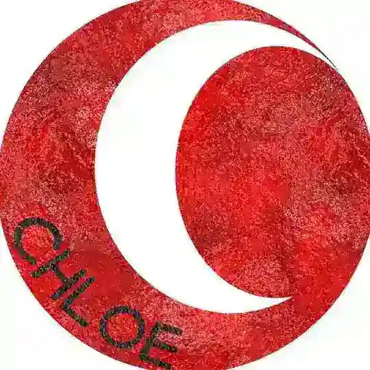 Chloe 工作室💋❤️男潮吹研究所💦💦