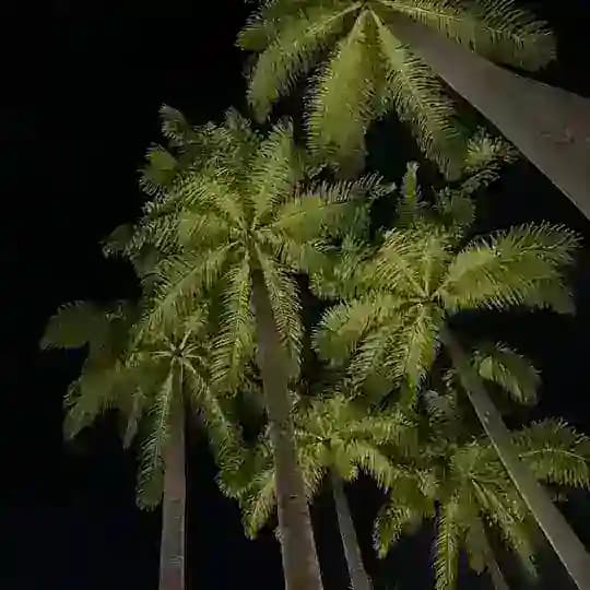 Choco 2.0