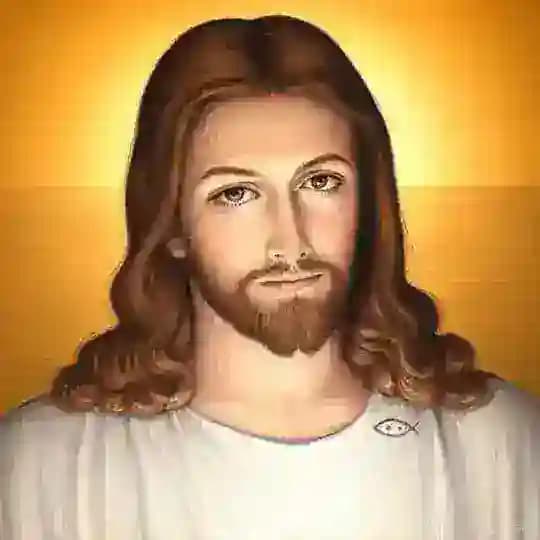 Christ Profile