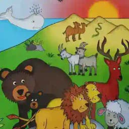 Christlicher Kinderkanal Profile