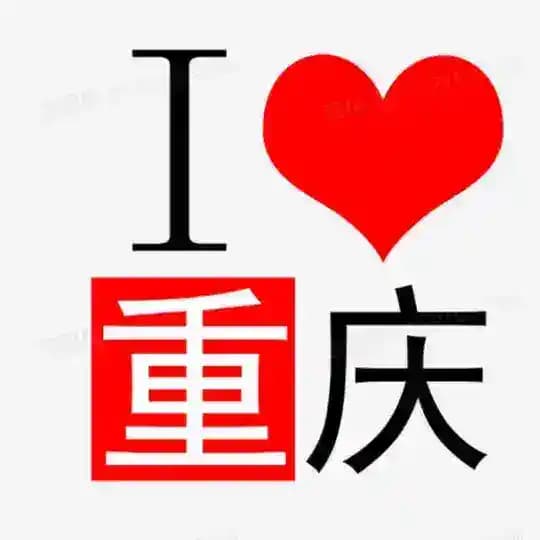 重庆出击报告