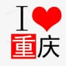重庆出击报告