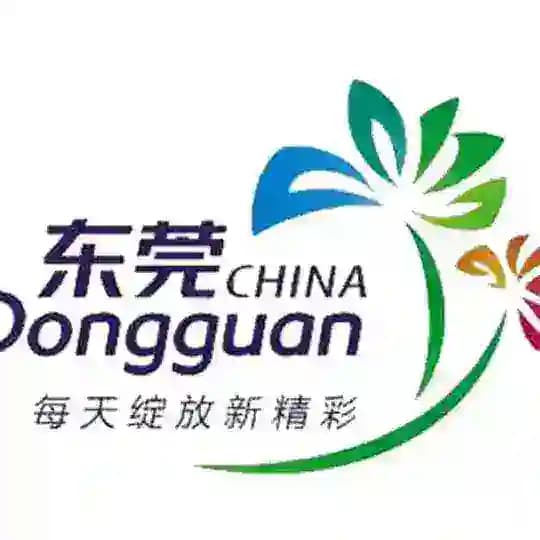 东莞出击报告