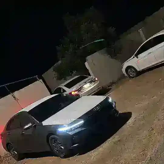 الدوده الشمري