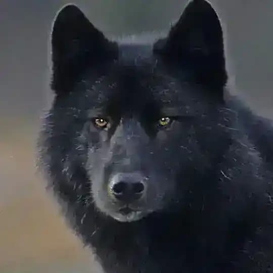 Clã dos Lobos
