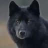 Clã dos Lobos