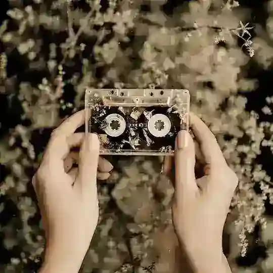 •⁞ ᴄʟᴀꜱꜱɪᴄ ᴛᴏᴡɴ ⁞•