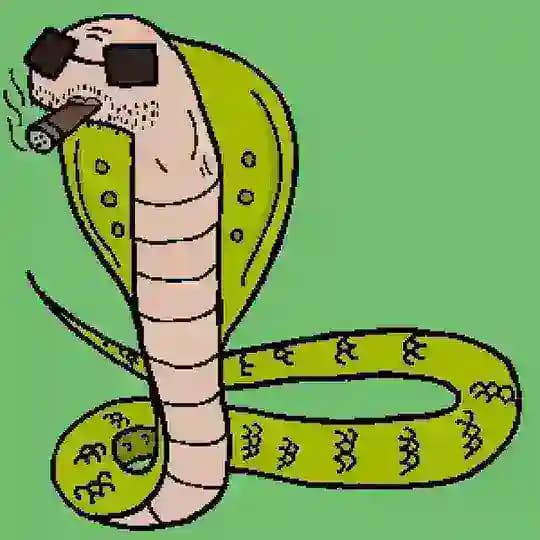 Cobra Tate $COBRA