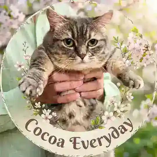 Cocoa Everyday 🍃