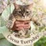 Cocoa Everyday 🍃