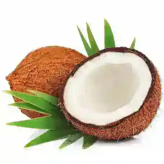 cocofinds official best recommendation