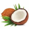 cocofinds official best recommendation