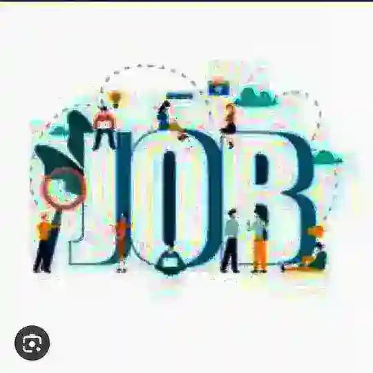 Code & Career