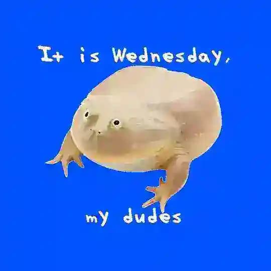 WednesdayCoin Portal