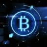 Whales News