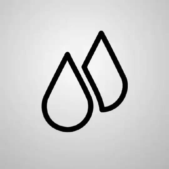 Coinsauce