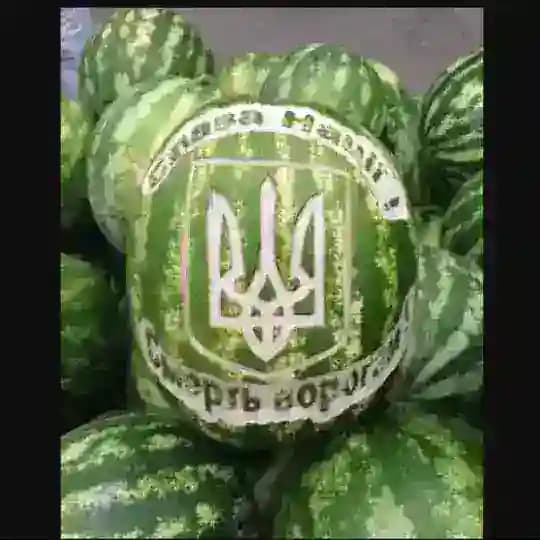 СОКИРА 🪓 ПЕРУНА 🇺🇦 Новини | Війна