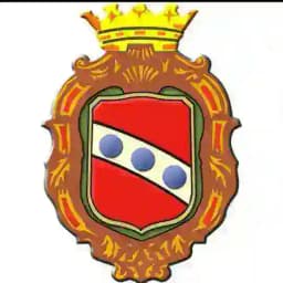 Comune di Camaiore Profile