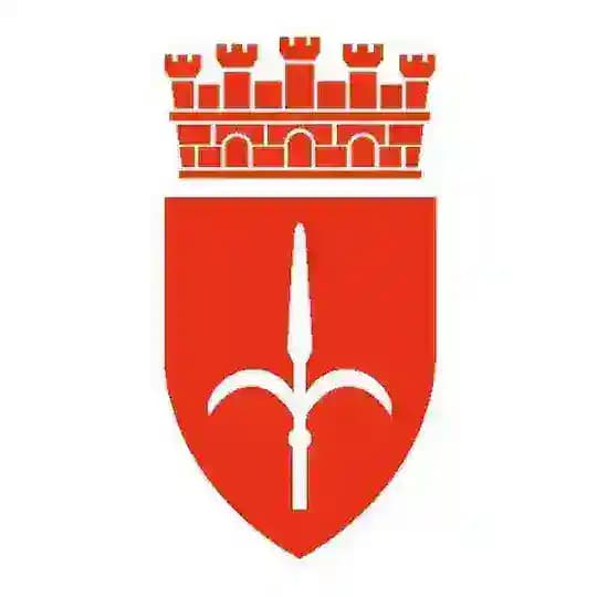 Comune di Trieste Profile