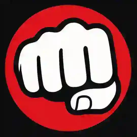 VIDEO VIOLENTI RISSE INCIDENTI 👊