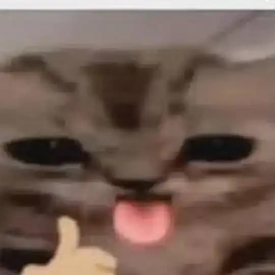 Nigga
