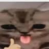 Nigga