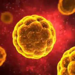 Global Intel LIVE - CoronaLive Profile