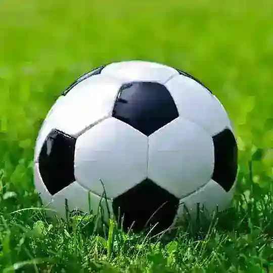 Free score correct scores