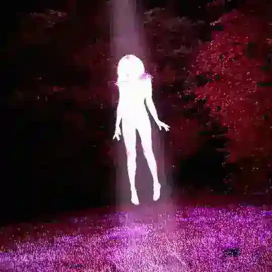 𝓀𝒾𝓃𝑔 𝓃𝑒𝓌 𝓇𝑒𝓅𝓊𝓉𝒶𝓉𝒾𝑜𝓃