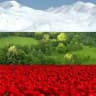 Болгария: жизнь, новости и соседи